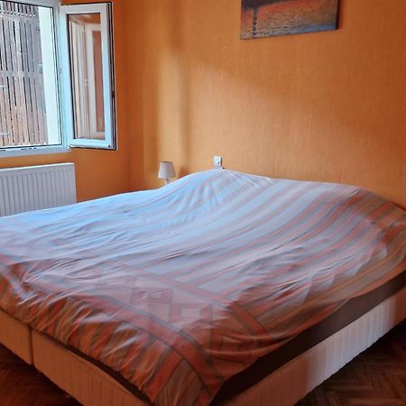 Appartement Le Grillenbreit コルマール エクステリア 写真